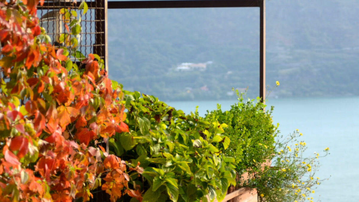 Day Tour Rome Surrounding-8 hours Catacombes & Castelgandolfo