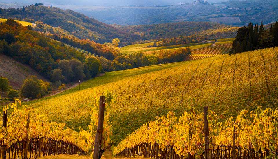 Day Trip From Florence-8 hours Siena & Chianti Countryside